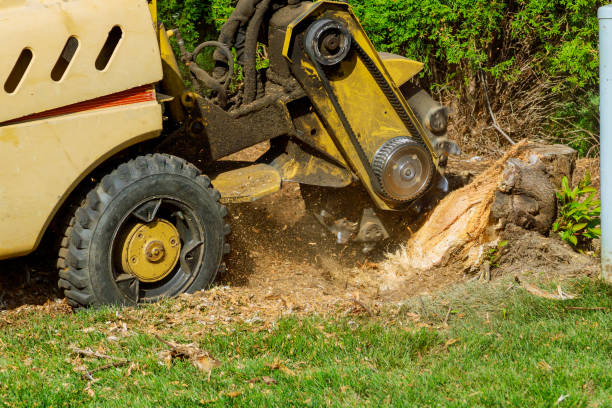 Best Weed Control  in Greenfield, CA