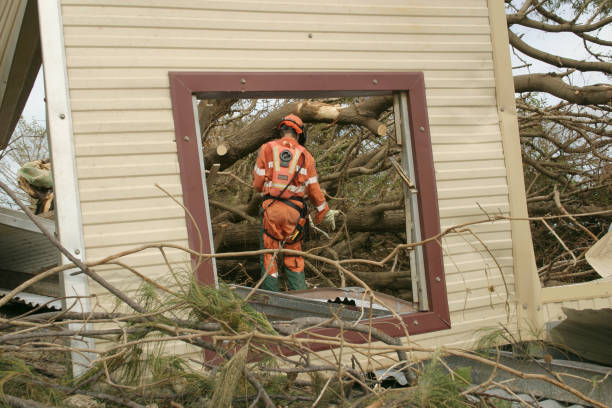 Reliable Greenfield, CA Tree Services Solutions